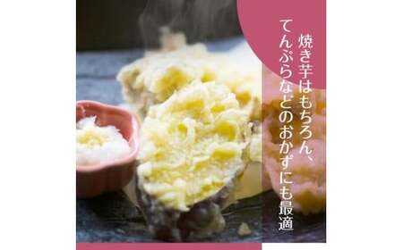 2025年度産 ホクホクで甘いさつまいも すずほっくり5kg【茨城県共通返礼品/行方市】【さつまいも サツマイモ 芋 お芋 甘い ホクホク 美味しい 大量 茨城県 北茨城市】(AK205)