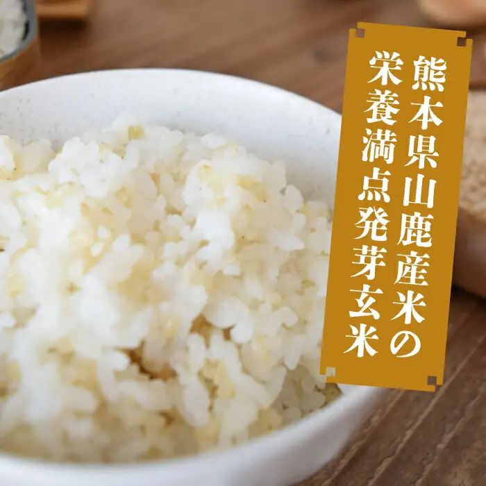 〈令和7年度産米〉 【金賞受賞米使用】くまもとの元気！発芽玄米 2kg×2袋【株式会社 れんげ・カンパニー】発芽玄米 有機栽培 真空パック 熊本 令和7年産 [ZAX003]