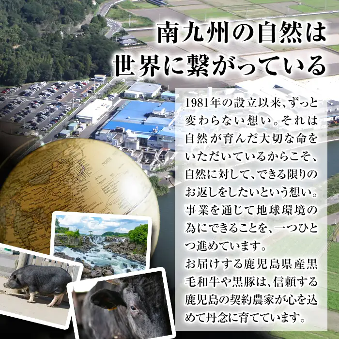 isa457  鹿児島県産黒豚ロース・バラしゃぶしゃぶセット(合計760g・黒豚ロース380g×1P、黒豚バラ380g×1P)鹿児島県産 黒豚 肉 豚肉 豚 ぶた ロース バラ スライス しゃぶしゃぶ 食べ比べ 冷凍【サンキョーミート株式会社】