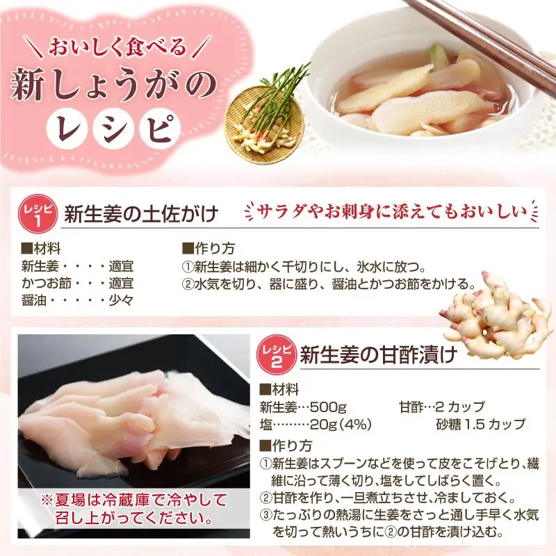 フレッシュ新しょうが２kg詰め 和歌山県産 新生姜 新鮮 産地直送 自家製 甘酢漬け、紅ショウガ、生姜湯、砂糖漬けに【クール冷蔵便】紀伊国屋文左衛門本舗