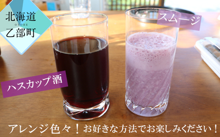 北海道の冷凍果実ハスカップ 天然の甘酸っぱさをそのままお届け 【山科農園 冷凍ハスカップ：400ｇ×2パック】＜ 北海道 ハスカップ 摘み立て冷凍 手摘み 使い方色々 抗酸化 ミラクルフルーツ ＞