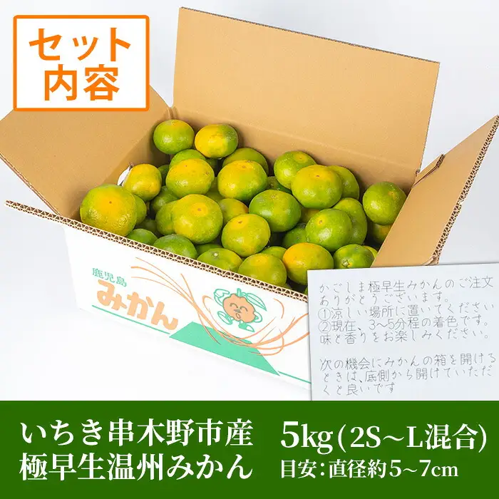 ＜数量・期間限定＞ 極早生 温州みかん 5kg 箱満杯バラ詰め！2S～Lサイズ 果樹【00-054-07】