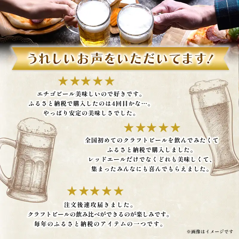 エチゴビール クラフトビール 12本 セット クラフトビール