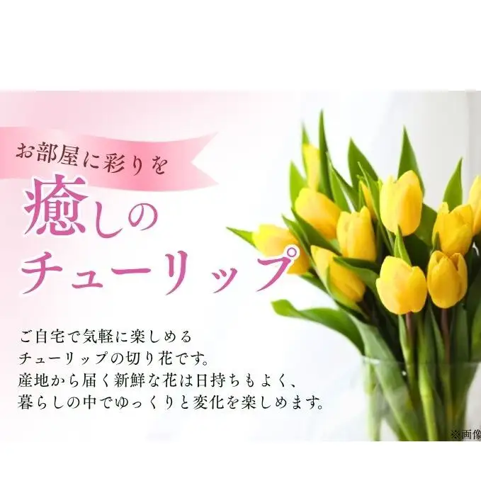 フラワーファームしろねのチューリップ切花20本（黄・ピンク　各10本） 植物 花束 