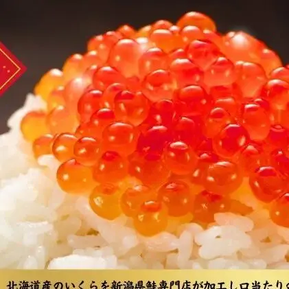 いくら醤油漬け400g（200g×2） いくら イクラ 醤油漬け いくら醤油漬け おつまみ 海鮮 海産物 魚介 魚介類 惣菜 おかず ごはんのお供 冷凍 新潟 