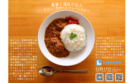 レトルトカレー2個と米袋リユース雑貨2種（ポーチ、名刺入れ） 加工食品 惣菜 日用品 ファッション小物 小物 おもしろ エコ 再利用 簡単調理 お昼ご飯 簡単ご飯 