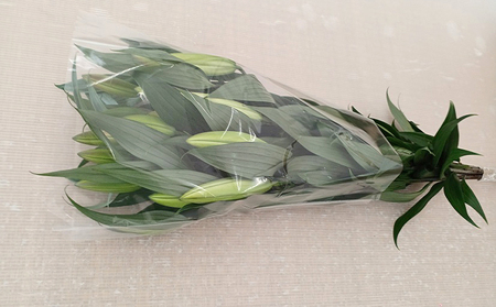 フラワーファーム しろねのユリ 切花5本（産地おすすめ花色）10月発送 植物 切り花 ゆり 白い花 ピンクの花 花束 