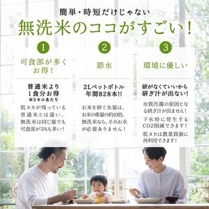 無洗米新潟産コシヒカリ6ヵ月定期 5kg