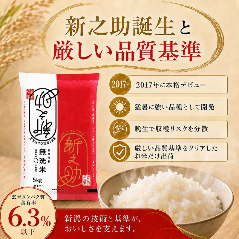 新之助 無洗米 5㎏ 6ヶ月 定期便 30㎏ 新之助