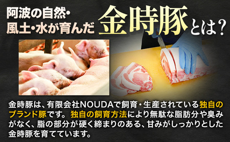 阿波の金時豚 切り落とし 900g 豚肉