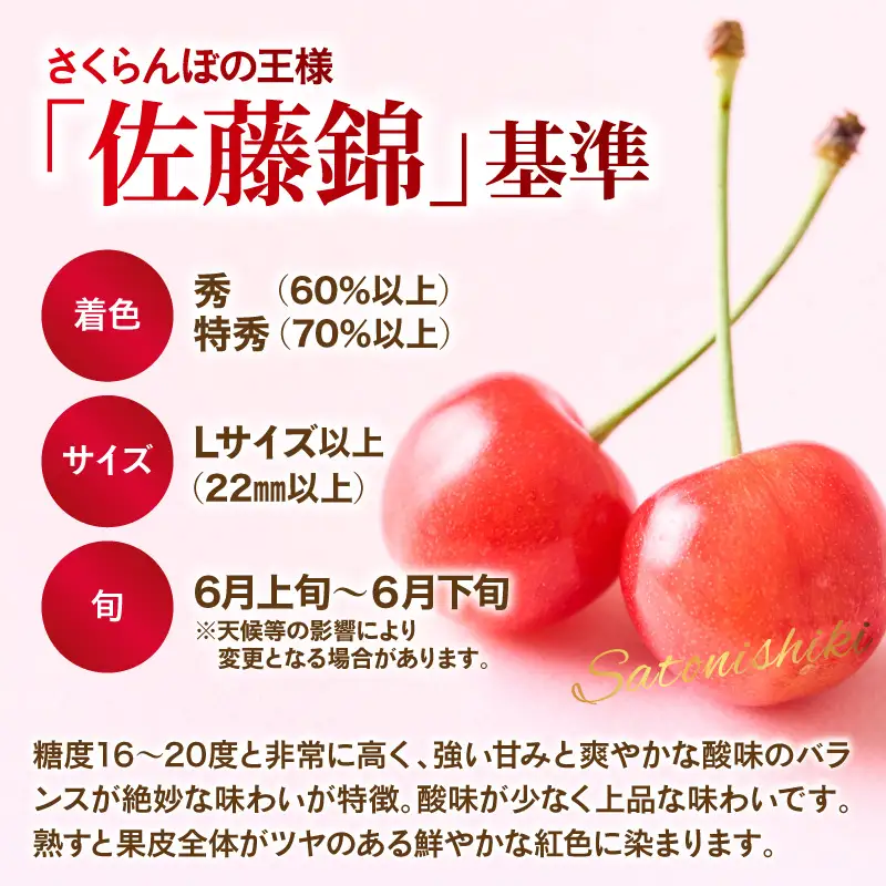さくらんぼ 佐藤錦 秀L 1kg 令和9年産 先行予約 さくらんぼ