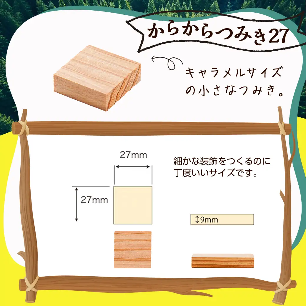 都城市産スギ「からからつみき108[800P入]」&「からからつみき27[200P入]」&コンテナセット〔84-D901〕_(都城市) 都城市産杉 つみき からからつみき108 からからつみき27 コンテナ 800ピース 200ピース 対象年齢3歳～