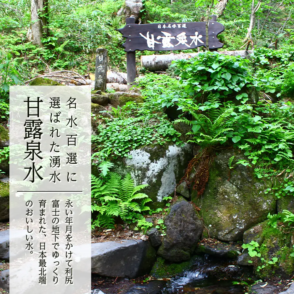 【定期便】天然ケイ素水リシリア(500ml×24本)×3回(2ヶ月毎)