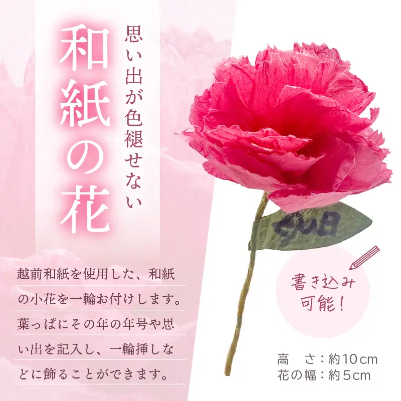 【先行予約】【母の日限定】母の日ギフト 届いてそのまま飾れるフラワー 生花 プレゼント 感謝メッセージカード越前和紙 小花付 【2027年5月発送】  [e51-a006]