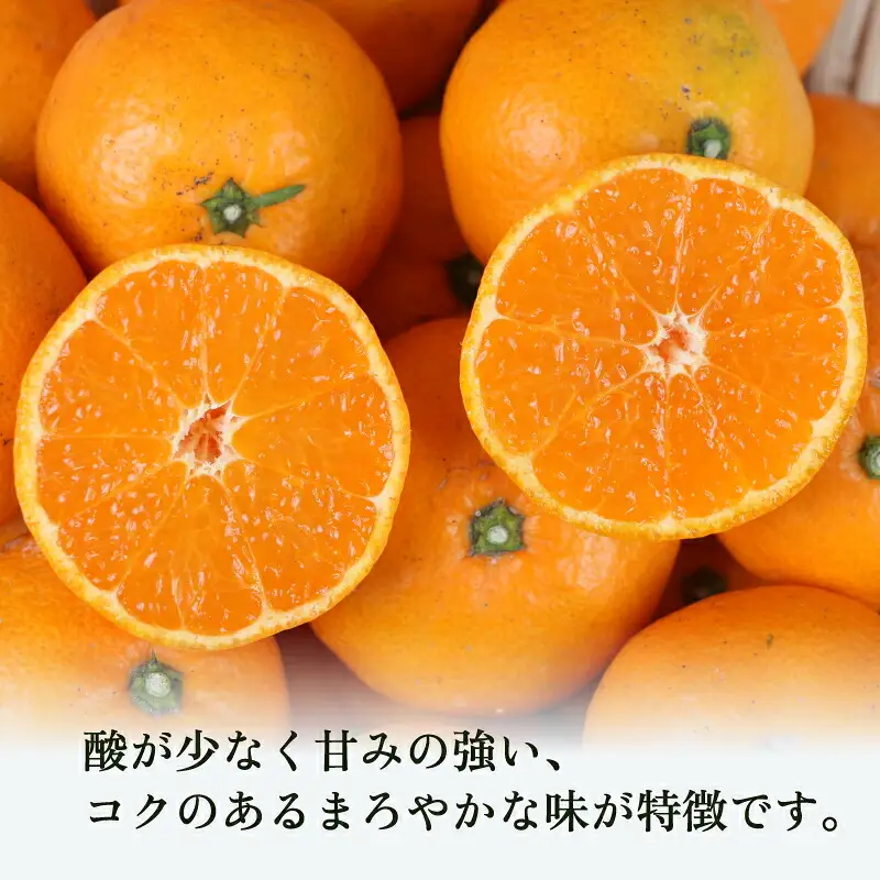 温州みかん南柑20号9kg家庭用植村農園温州みかん温州みかん温州みかん温州みかんB010-153004