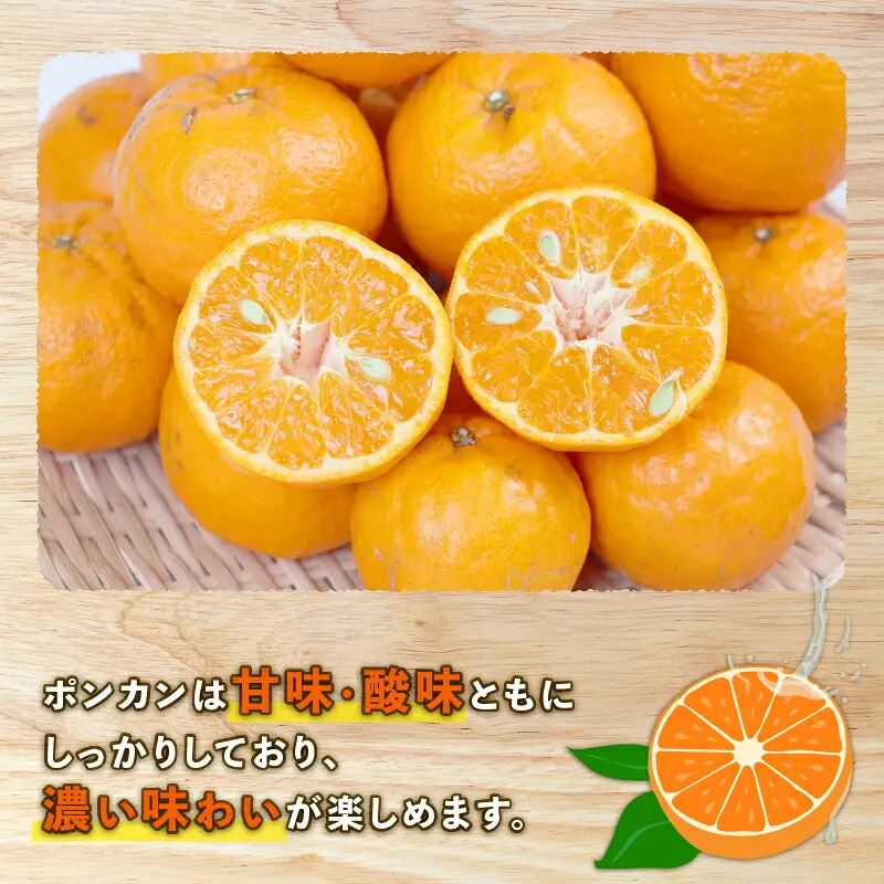ポンカン 9kg みかん 家庭用 植村農園 ﾎﾟﾝｶﾝ ﾎﾟﾝｶﾝ ﾎﾟﾝｶﾝ B010-153005
