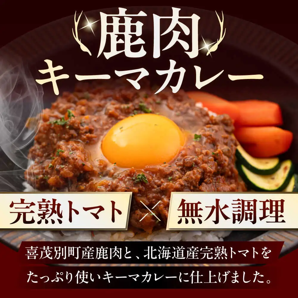 エゾ鹿 本格 キーマカレー  10食 ジビエ  スパイス 鹿肉 無水調理 パック 冷凍配送 北海道 [AJAO004]