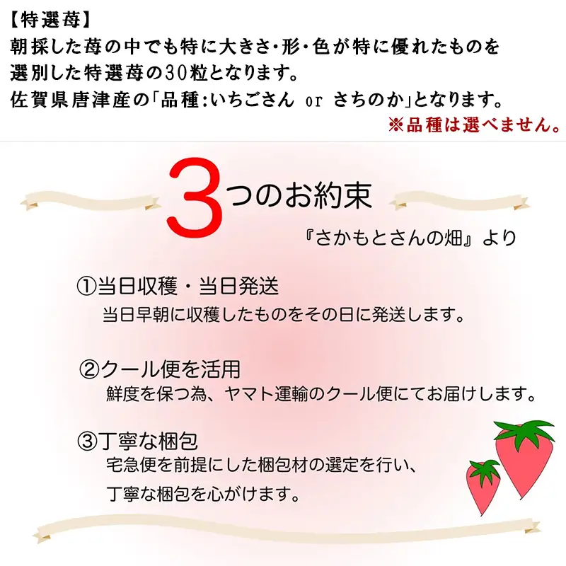 特選濃厚苺30粒 品種：いちごさん or さちのか 佐賀県唐津産 (贈答用・ギフト用・熨斗対応可・化粧箱)