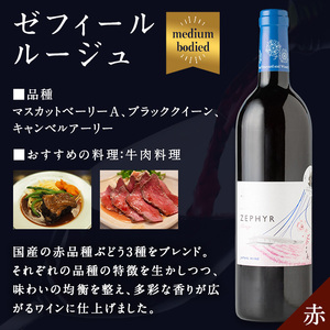 了美ワイン 2本セット 750ml×2 赤ワイン 白ワイン 飲み比べ アルコール お酒 みらいファームやまと【了美ワイナリー】ta317