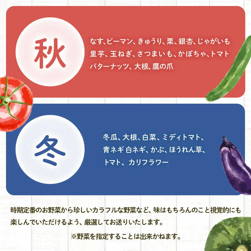 鯖街道からお届けする季節の新鮮野菜セット 8種以上[A-023004] [BFAN006]