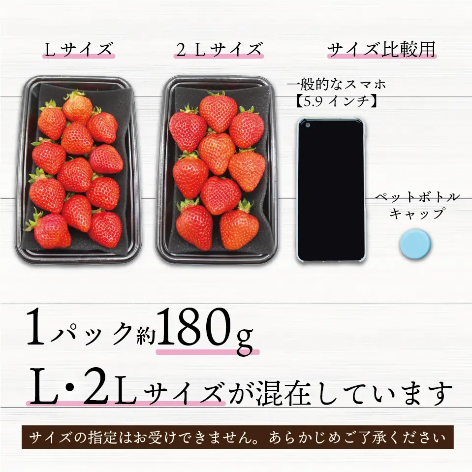 【先行予約／2027年出荷】JAむなかた直送！食べきりサイズ「博多あまおう」約180g×8パック 2L12