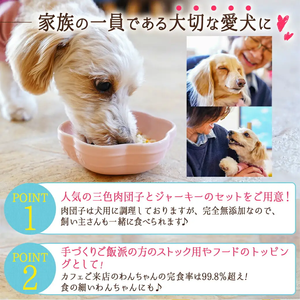 手づくり☆わんご飯「ご褒美セット」〔AA-J501〕_(都城市) わんちゃん用 手づくり 無添加 保存料無し 安心 安全 三色肉団子 ジャーキー 