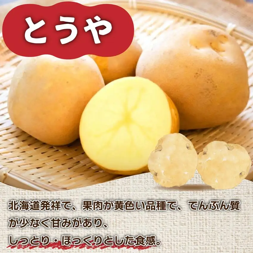 ＜先行予約＞北海道産 じゃがいも(とうや) 約5kg【55250843】