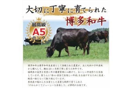 博多和牛 切り落とし 合計1,000g (500g×2パック) 1kg 黒毛和牛 牛肉 和牛 切落し