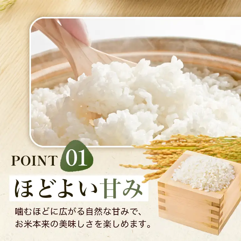 ひのひかり 米 お米 白米 20kg 令和8年産 新米 【JA福岡くるめ にじの耳納の里】 A01-011-PD03-20