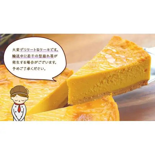 パンプキン チーズケーキ 6号 × 1個