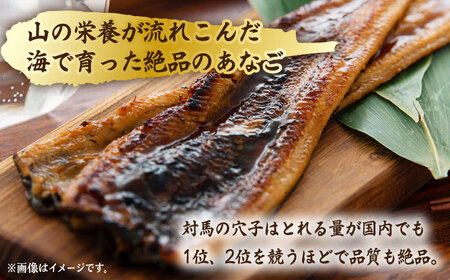 【全12回定期便】骨まで食べる 白焼き あなご (5袋)穴子 白焼 海鮮 国産 魚介[WAI077]