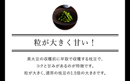 ＜先行予約！2026年10月中旬以降順次発送予定＞丹波黒大豆の枝豆「黒ムラサキ」(1kg) 京野菜 枝豆 夜久野清雫