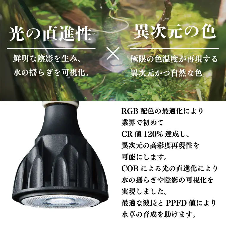 BN025-1　電球タイプのアクアリウム専用ライト。異次元の彩度、水の揺らぎ、水草の育成に優れています。「ヘリオスアクアLED (ブラック)」