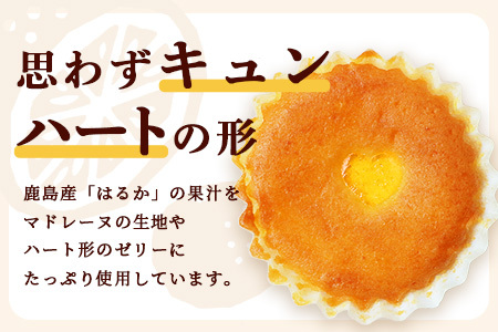 【赤門堂の焼菓子】はるかのきもち 21個 マドレーヌ 焼き菓子 焼菓子 お菓子 郷土菓子 ご当地スイーツ 焼き菓子 焼菓子 贈物 プレゼント ギフト 贈り物 お土産 おやつ B-641