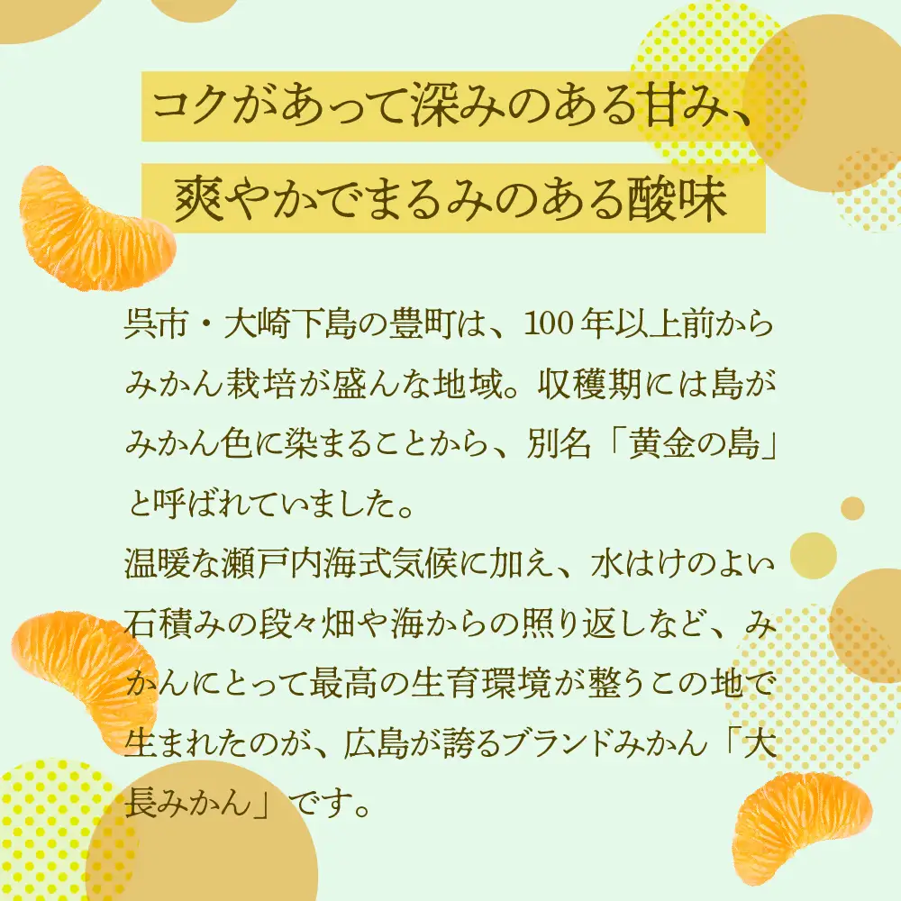 【先行受付】【2026年12月上旬～発送】広島 大長みかんと大長檸檬3個セット 5kg ku012-010-26