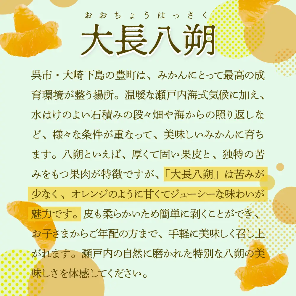 【先行受付】【2027年2月上旬～発送】瀬戸内 大崎下島産 大長八朔 10kg　 柑橘 かんきつ はっさく 産地直送 お取り寄せ ジューシー 広島県 呉市 ku012-011-26
