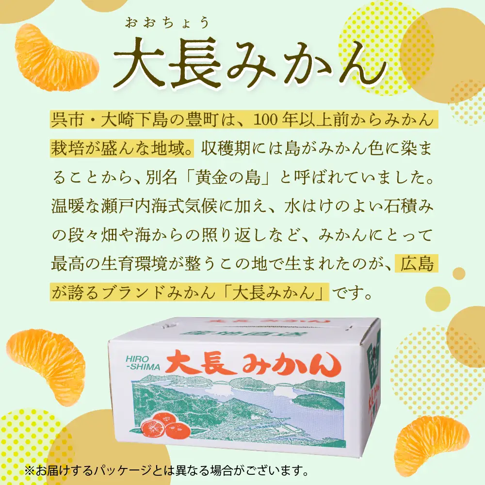 【先行受付】【2026年12月上旬～発送】広島県産 呉 大長みかん 10kg ku012-012-26