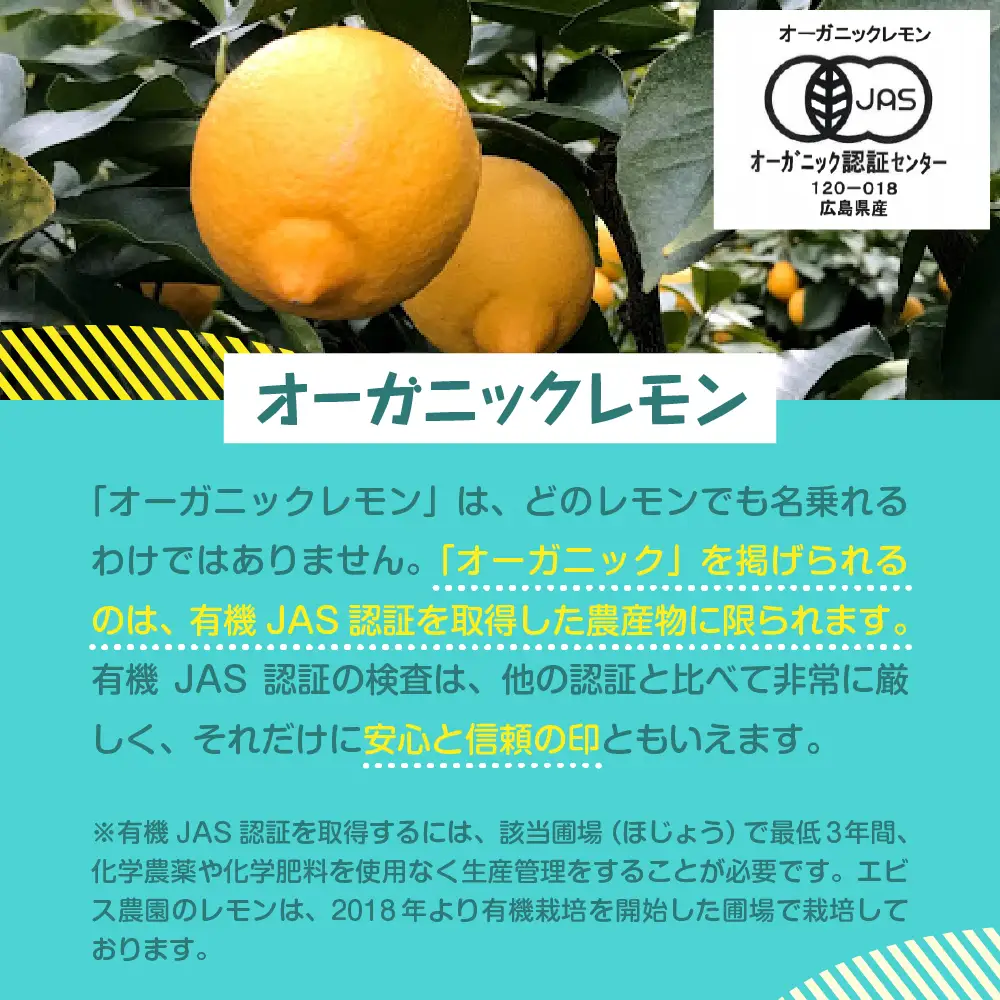 【先行受付】【2026年11月上旬～発送】【栽培期間中農薬不使用】有機JAS認証 皮まで美味しい！希少な国産オーガニックレモン 約4kg ku026-002-26