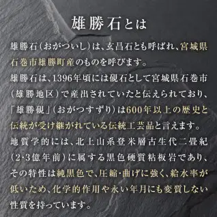 【雄勝石】石皿270×120　２枚組  雄勝石 玄昌石 食器 石皿 270×120×6mm シリコン脚付き お皿 天然石 プレート 黒 雄勝硯生産販売協同組合