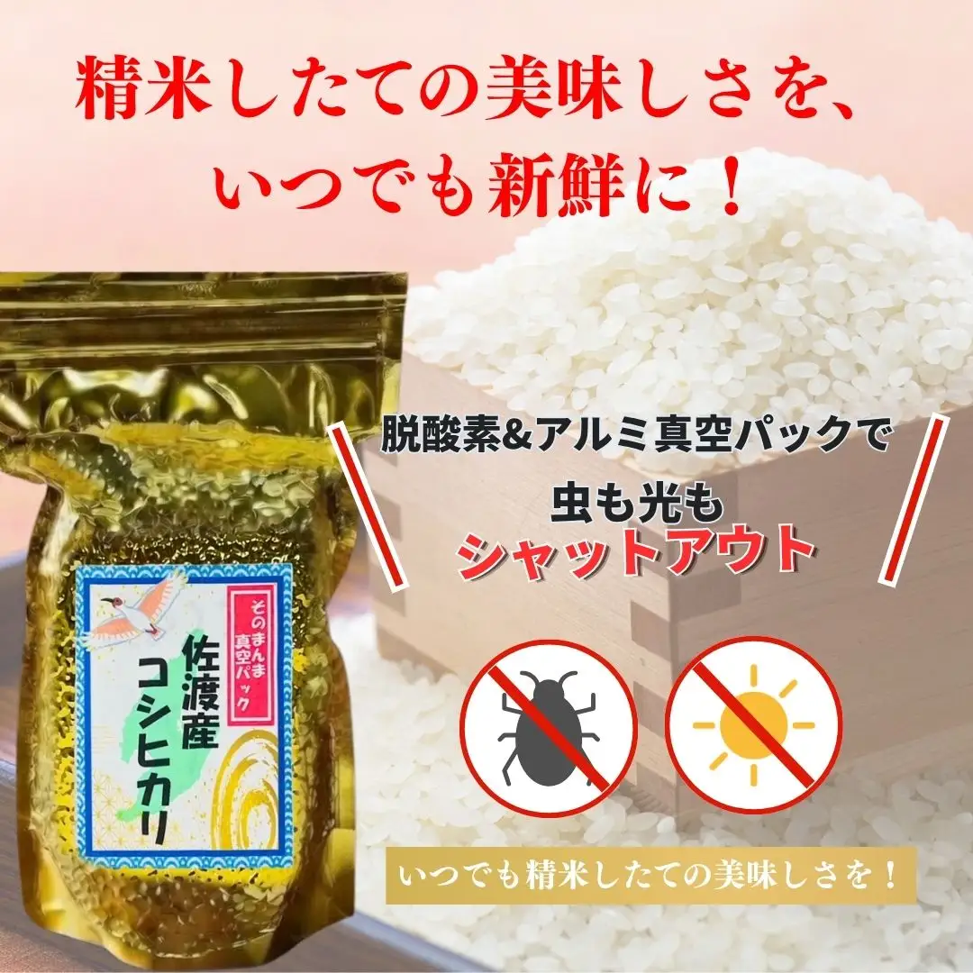 【先行予約 令和8年】コシヒカリ 真空パック 900g×6袋セット | 新潟県 佐渡市 コシヒカリ