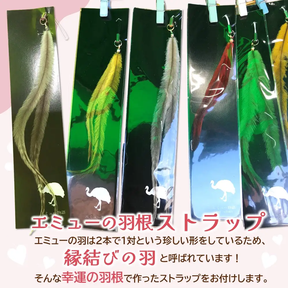 エミューキーマカレー(中辛)・エミューの羽根ストラップ K006029