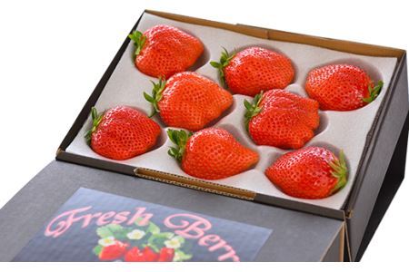 群馬県やよいひめ（いちご）約400g【３年連続金賞受賞！】※2026年12月～2027年5月にて順次発送予定