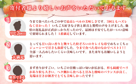 群馬県やよいひめ（いちご）約800g【３年連続金賞受賞！】※2026年12月～2027年5月にて順次発送予定