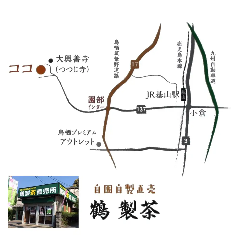 【無農薬栽培】粉末緑茶・緑茶ティーバッグ詰め合わせセット K009012