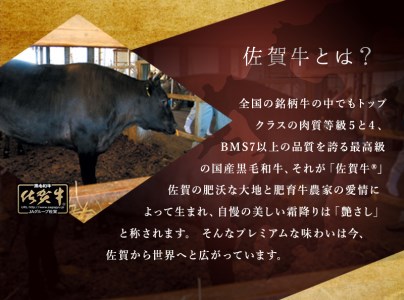BN017_Ａ5ランク佐賀牛もも切落し500ｇ(250ｇ×2Ｐ)
