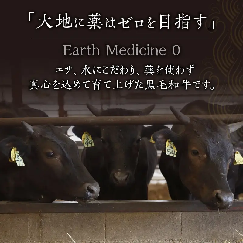 ハンバーグ グリル ハンバーグ[宮崎県産黒毛和牛100%グリルハンバーグ1.5kg 冷凍食品 牛肉]