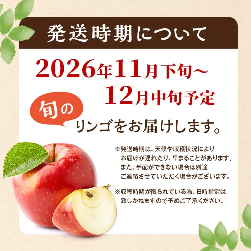 りんご サンふじ 約10kg 24～40玉入 リンゴ