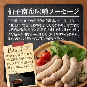国産SPFポーク使用！熟成完全無添加"和風"ソーセージ10パックセット(100g×10パック) 柚子味噌南蛮 粕漬味噌 手作り あらびき 粗挽き 豚肉 肉 加工品 小分け 食べ比べ 冷蔵 おつまみ BBQ バーベキュー【有限会社コブレンツ】ta298