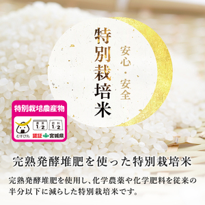 【令和8年産】＜3か月定期便＞特別栽培米 つや姫 5kg×3回(合計15kg) お米 おこめ 米 コメ 白米 ご飯 ごはん おにぎり お弁当 頒布会【農事組合法人若木の里】ta547