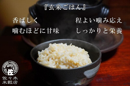 あきたこまち 玄米 5kg 盛岡市産 岩手 米 お米 ブランド米 いわて米 秋田こまち 五つ星 お米マイスター 推奨 こめ コメ ライス ご飯 ごはん 美味しい 贈り物 国産 岩手県産 岩手県 盛岡市 産地直送 盛岡 佐々木米穀店
